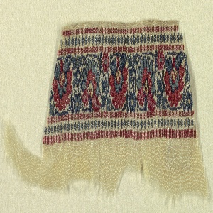 Shawl Border Fragment (India), 19th century