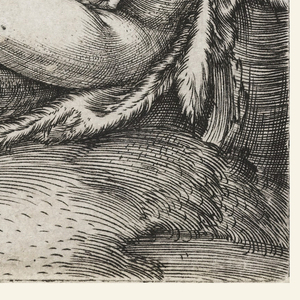 Print, The Satyr Family, 1505