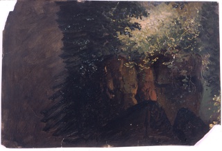 Drawing, Boulders and Vines