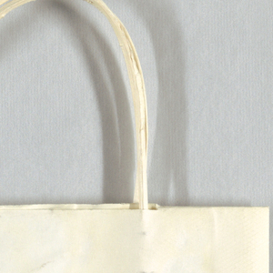 Shopping Bag, Manhattan Melanoma