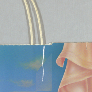 Shopping Bag, Marshall Field