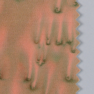 Sample Book, Textured ground, 1990