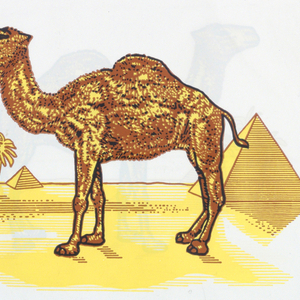 Shopping Bag, Camel