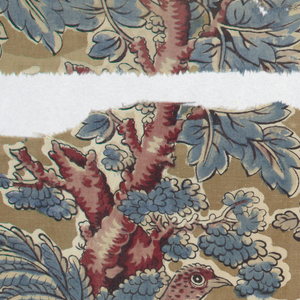 Fragment (England), early 19th century