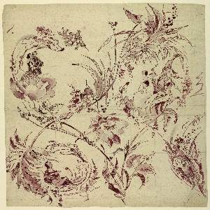 Drawing