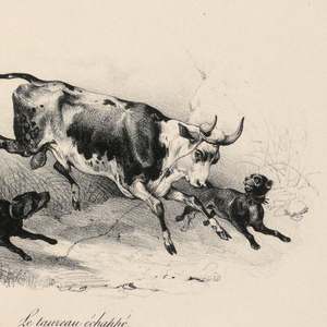 Print (France)