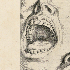Print, Studies of features, 1622