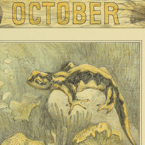 Print, Design for a Calendar (September), 1911