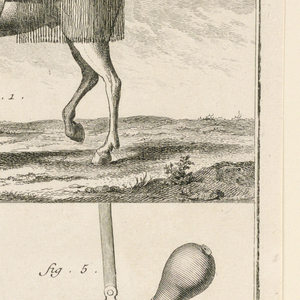 Print (France)