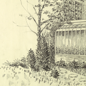 Drawing (USA)