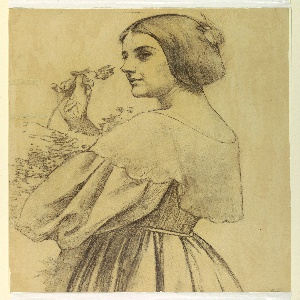 Drawing (USA)