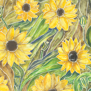 Drawing (USA)