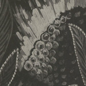 Drawing (USA)