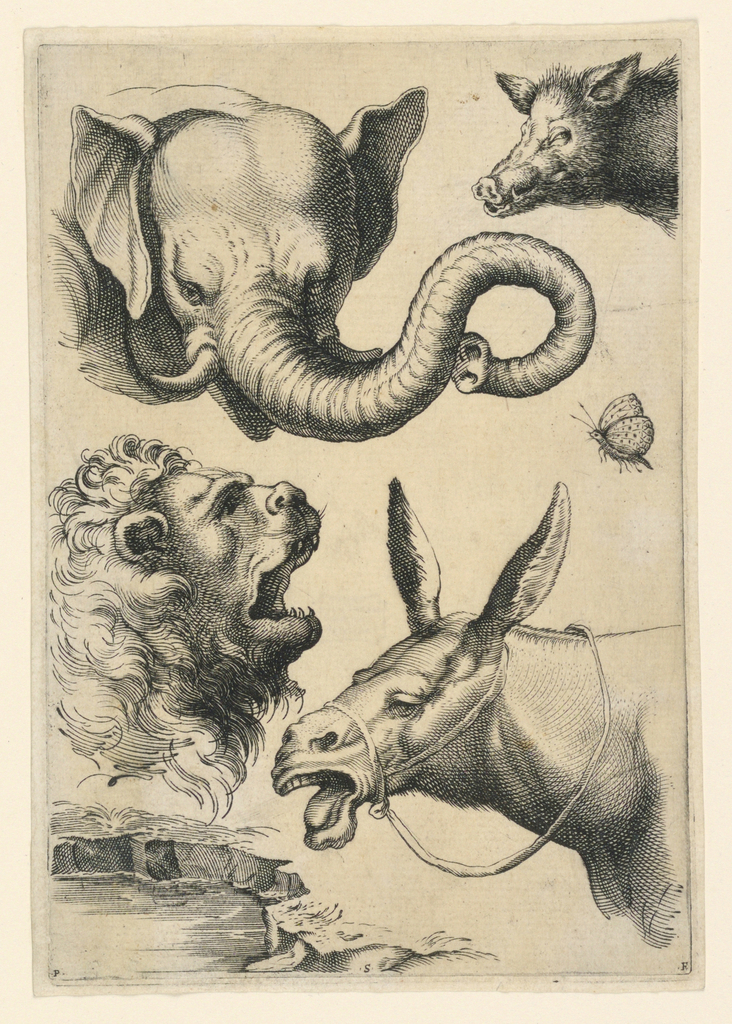 Print, Heads of an elephant, boar, lion, donkey and a butterfly, plate from the "Scuola Perfetta per Imparare a Disegnare tutto il corpo Humano Cavata dallo studio e disegni de Caracci"