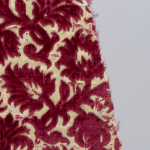 Fragment