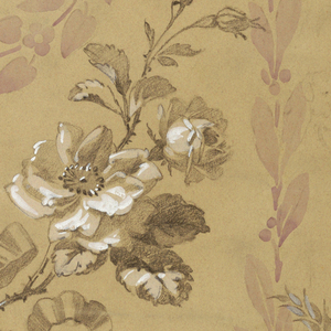Drawing (USA)