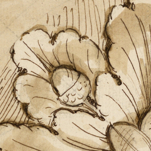Drawing, Keystone in a ceiling; rosette with four acorns