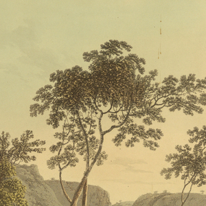 Print (England)