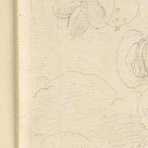 Drawing (Italy)