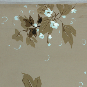 Drawing (USA)
