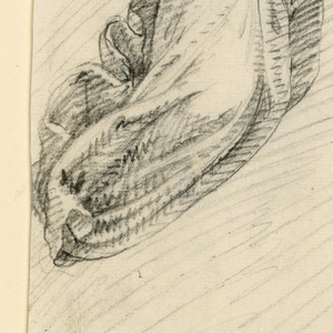 Drawing (Italy)