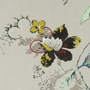 Drawing (USA)