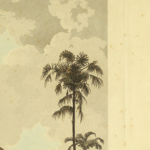 Print (England)