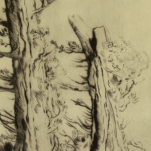 Print (France & England)