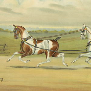Chromolithograph, An Afternoon Drive, 1901