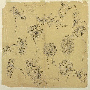 Drawing (USA)