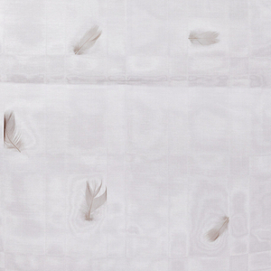 Textile, Feather Flurries, 1993