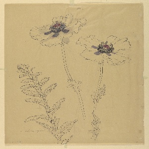 Drawing (USA)