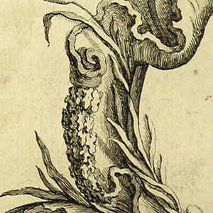 Print, Design for Cartouche Evoking Aquatic Elements, 1740