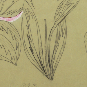 Drawing, Textile Design:  Tropical Flowers, 1912–13