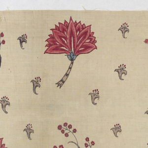 Chintz Fragment, 18th century