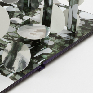 Book, “55, Surprise,” Visionaire, 2008