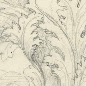 Drawing, Study for Curling Acanthus Ornament, 18th century