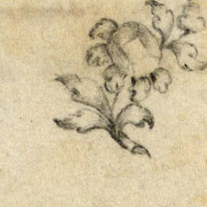 Drawing (Italy)