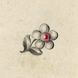 Drawing (Italy)