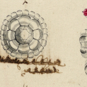 Drawing (Italy)