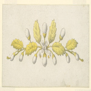 Drawing, Design for a coronet, 1825–50