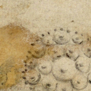Drawing (Italy)