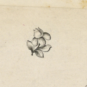 Drawing (Italy)