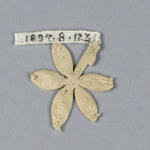 Fragment