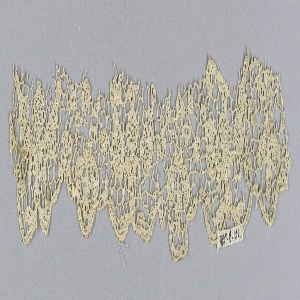 Fragment