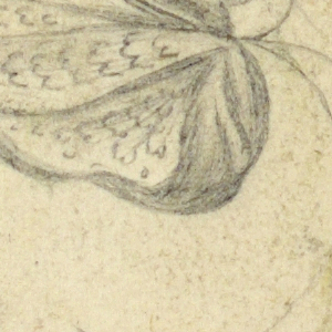 Drawing, Design for Textile, ca. 1808–10