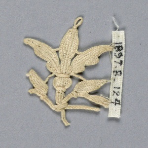 Fragment