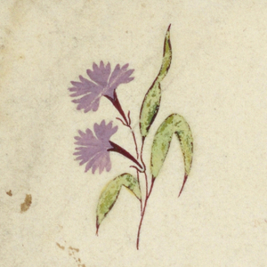Drawing (England)