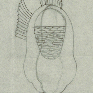 Drawing (USA)