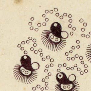 Drawing, Design for Textile, ca. 1808–10